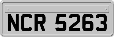 NCR5263