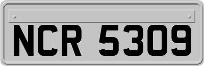 NCR5309