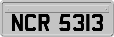 NCR5313