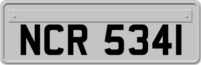 NCR5341