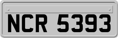 NCR5393