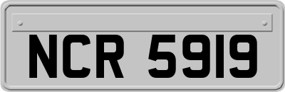 NCR5919