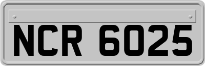 NCR6025