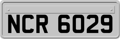 NCR6029