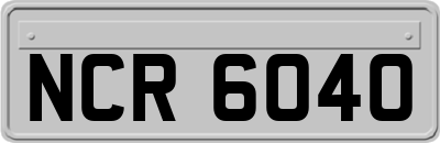 NCR6040