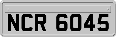 NCR6045