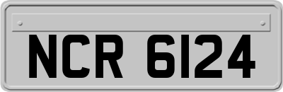 NCR6124