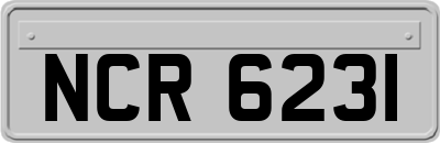 NCR6231