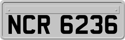 NCR6236