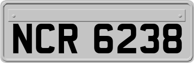 NCR6238