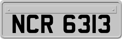 NCR6313