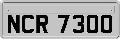 NCR7300