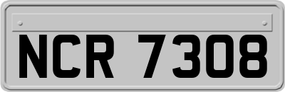 NCR7308