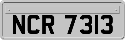 NCR7313
