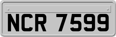 NCR7599