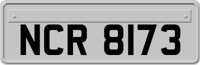 NCR8173