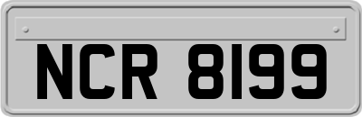 NCR8199