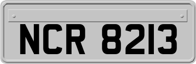 NCR8213