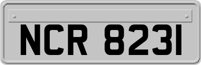 NCR8231