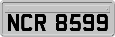 NCR8599