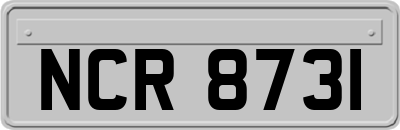 NCR8731