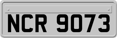 NCR9073