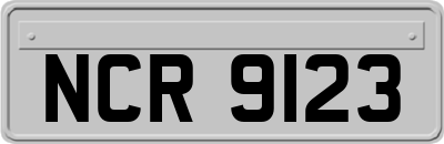 NCR9123