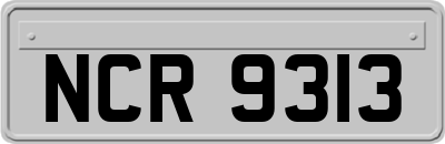 NCR9313