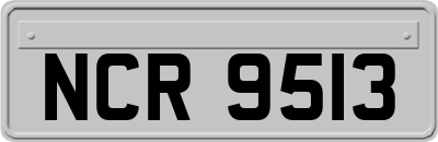NCR9513