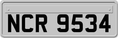 NCR9534