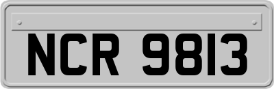 NCR9813