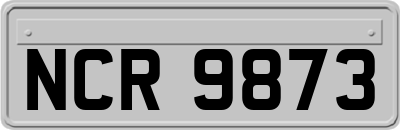 NCR9873