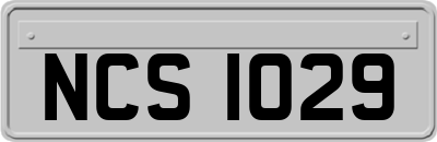 NCS1029