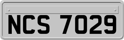 NCS7029