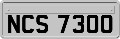 NCS7300