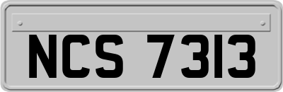 NCS7313