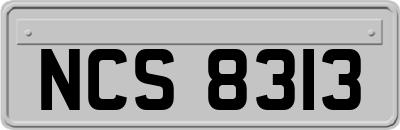 NCS8313