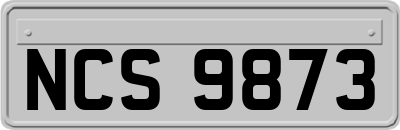 NCS9873