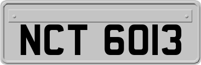 NCT6013