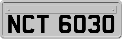 NCT6030