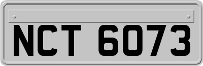 NCT6073