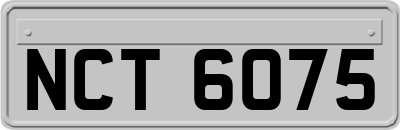NCT6075