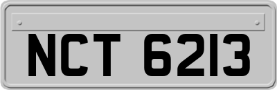 NCT6213