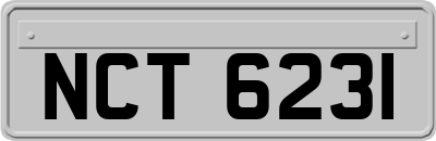 NCT6231
