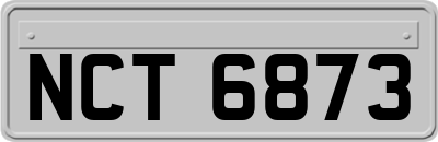 NCT6873