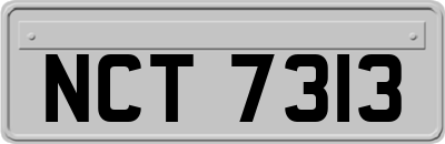 NCT7313