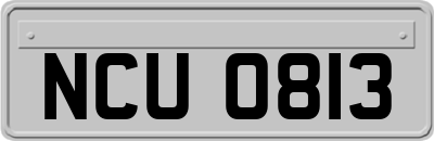 NCU0813