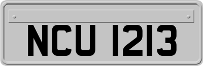 NCU1213