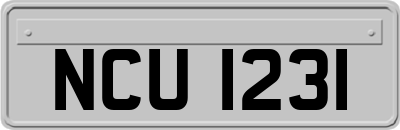 NCU1231