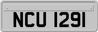 NCU1291